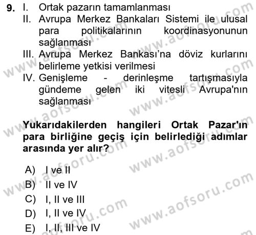 Avrupa Birliği Dersi 2023 - 2024 Yılı (Vize) Ara Sınav Soruları 9. Soru