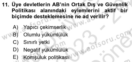 Avrupa Birliği Dersi 2023 - 2024 Yılı (Final) Dönem Sonu Sınav Soruları 11. Soru