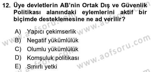 Avrupa Birliği Dersi 2023 - 2024 Yılı Yaz Okulu Sınavı 12. Soru