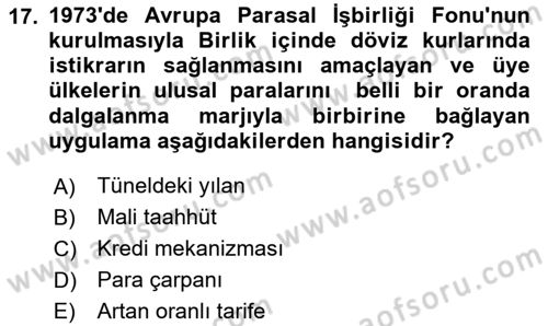 Avrupa Birliği Dersi 2023 - 2024 Yılı Yaz Okulu Sınavı 17. Soru