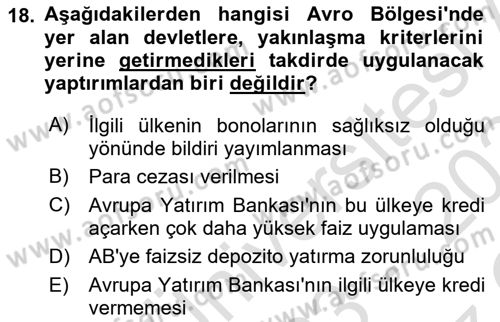 Avrupa Birliği Dersi 2023 - 2024 Yılı Yaz Okulu Sınavı 18. Soru