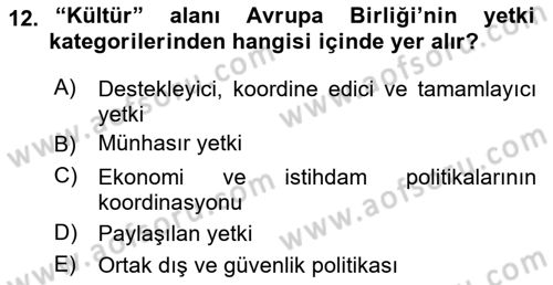 Avrupa Birliği Dersi 2024 - 2025 Yılı (Vize) Ara Sınav Soruları 12. Soru