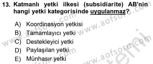 Avrupa Birliği Dersi 2024 - 2025 Yılı (Vize) Ara Sınav Soruları 13. Soru