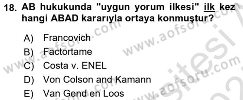 Avrupa Birliği Dersi 2024 - 2025 Yılı (Vize) Ara Sınav Soruları 18. Soru