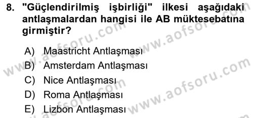 Avrupa Birliği Dersi 2024 - 2025 Yılı (Vize) Ara Sınav Soruları 8. Soru
