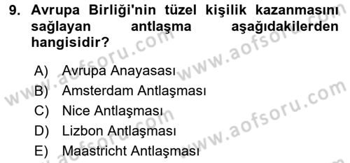 Avrupa Birliği Dersi 2024 - 2025 Yılı (Vize) Ara Sınav Soruları 9. Soru