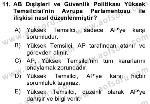 Avrupa Birliği Dersi 2024 - 2025 Yılı (Final) Dönem Sonu Sınav Soruları 11. Soru
