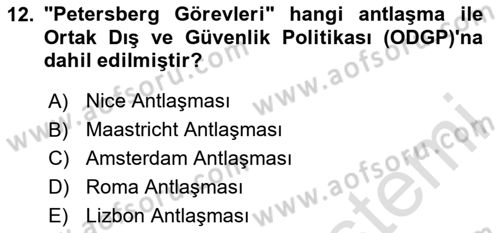 Avrupa Birliği Dersi 2024 - 2025 Yılı (Final) Dönem Sonu Sınav Soruları 12. Soru