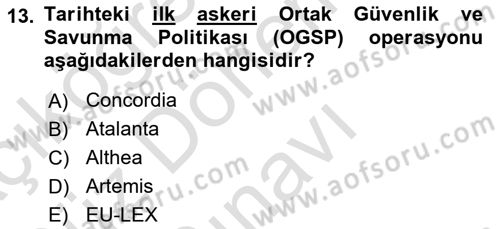 Avrupa Birliği Dersi 2024 - 2025 Yılı (Final) Dönem Sonu Sınav Soruları 13. Soru