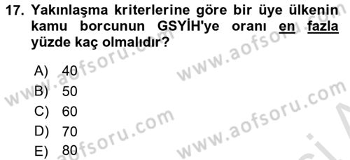 Avrupa Birliği Dersi 2024 - 2025 Yılı (Final) Dönem Sonu Sınav Soruları 17. Soru