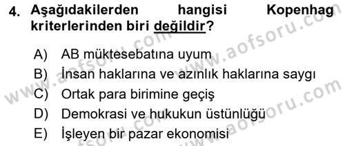 Avrupa Birliği Dersi 2024 - 2025 Yılı (Final) Dönem Sonu Sınav Soruları 4. Soru
