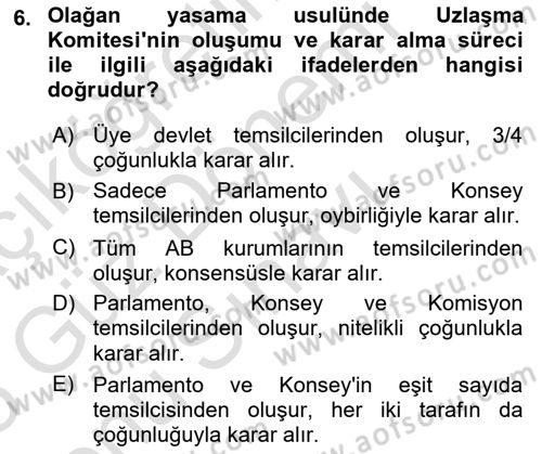 Avrupa Birliği Dersi 2024 - 2025 Yılı (Final) Dönem Sonu Sınav Soruları 6. Soru