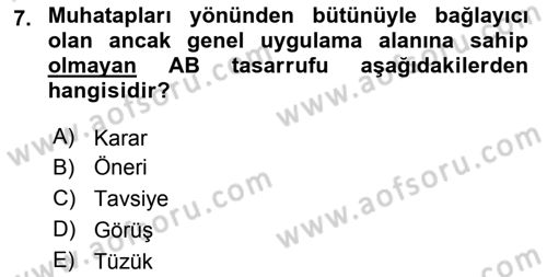 Avrupa Birliği Dersi 2024 - 2025 Yılı (Final) Dönem Sonu Sınav Soruları 7. Soru