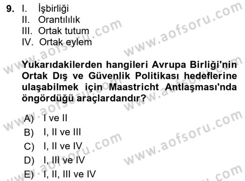 Avrupa Birliği Dersi 2024 - 2025 Yılı (Final) Dönem Sonu Sınav Soruları 9. Soru