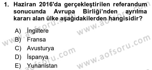 Avrupa Birliği Dersi 2024 - 2025 Yılı Yaz Okulu Sınav Soruları 1. Soru