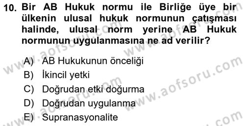 Avrupa Birliği Dersi 2024 - 2025 Yılı Yaz Okulu Sınav Soruları 10. Soru
