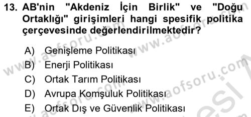 Avrupa Birliği Dersi 2024 - 2025 Yılı Yaz Okulu Sınav Soruları 13. Soru