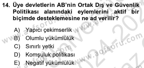 Avrupa Birliği Dersi 2024 - 2025 Yılı Yaz Okulu Sınav Soruları 14. Soru