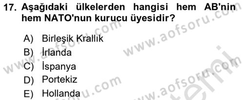 Avrupa Birliği Dersi 2024 - 2025 Yılı Yaz Okulu Sınav Soruları 17. Soru