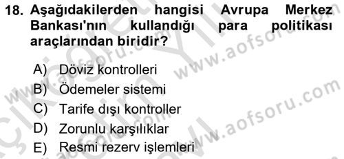 Avrupa Birliği Dersi 2024 - 2025 Yılı Yaz Okulu Sınav Soruları 18. Soru