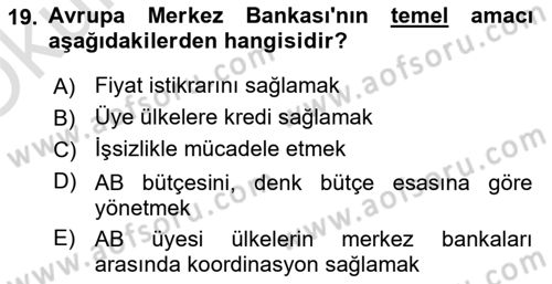 Avrupa Birliği Dersi 2024 - 2025 Yılı Yaz Okulu Sınav Soruları 19. Soru