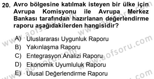 Avrupa Birliği Dersi 2024 - 2025 Yılı Yaz Okulu Sınav Soruları 20. Soru