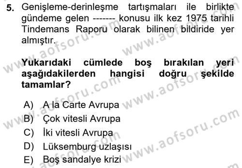 Avrupa Birliği Dersi 2024 - 2025 Yılı Yaz Okulu Sınav Soruları 5. Soru