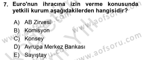 Avrupa Birliği Dersi 2024 - 2025 Yılı Yaz Okulu Sınav Soruları 7. Soru