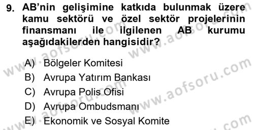 Avrupa Birliği Dersi 2024 - 2025 Yılı Yaz Okulu Sınav Soruları 9. Soru