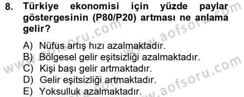 Türkiye Ekonomisi Dersi 2012 - 2013 Yılı (Vize) Ara Sınav Soruları 8. Soru