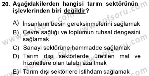 Türkiye Ekonomisi Dersi 2013 - 2014 Yılı (Vize) Ara Sınav Soruları 20. Soru