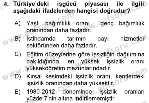 Türkiye Ekonomisi Dersi 2015 - 2016 Yılı (Vize) Ara Sınav Soruları 4. Soru