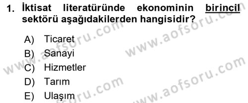 Türkiye Ekonomisi Dersi 2016 - 2017 Yılı 3 Ders Sınav Soruları 1. Soru