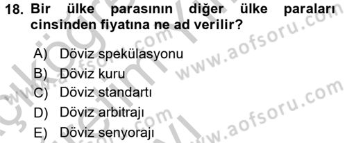 Türkiye Ekonomisi Dersi 2016 - 2017 Yılı 3 Ders Sınav Soruları 18. Soru