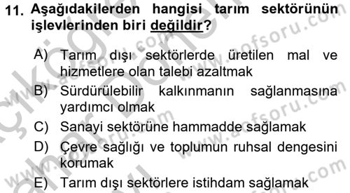 Türkiye Ekonomisi Dersi 2016 - 2017 Yılı (Vize) Ara Sınavı 11. Soru