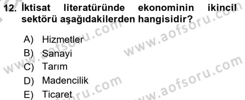 Türkiye Ekonomisi Dersi 2016 - 2017 Yılı (Vize) Ara Sınav Soruları 12. Soru