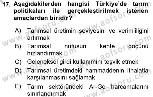 Türkiye Ekonomisi Dersi 2016 - 2017 Yılı (Vize) Ara Sınav Soruları 17. Soru