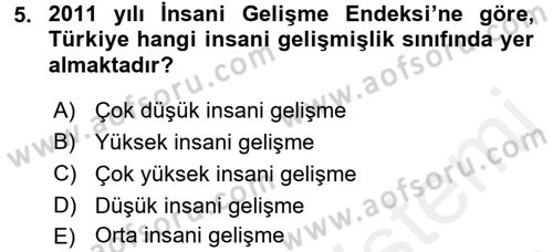 Türkiye Ekonomisi Dersi 2017 - 2018 Yılı (Vize) Ara Sınav Soruları 5. Soru