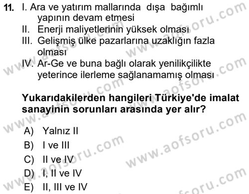 Türkiye Ekonomisi Dersi 2018 - 2019 Yılı (Final) Dönem Sonu Sınav Soruları 11. Soru