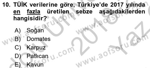 Türkiye Ekonomisi Dersi 2018 - 2019 Yılı Yaz Okulu Sınav Soruları 10. Soru