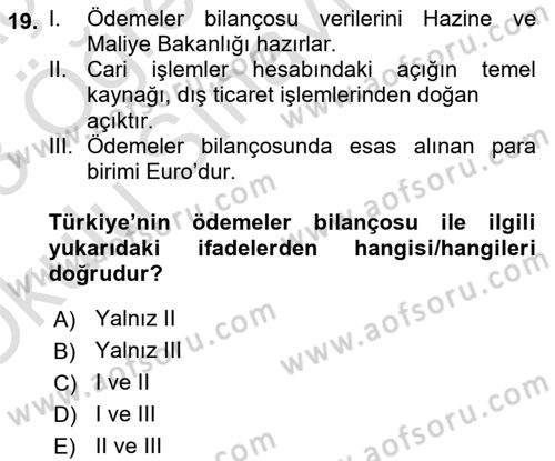 Türkiye Ekonomisi Dersi 2022 - 2023 Yılı Yaz Okulu Sınav Soruları 19. Soru