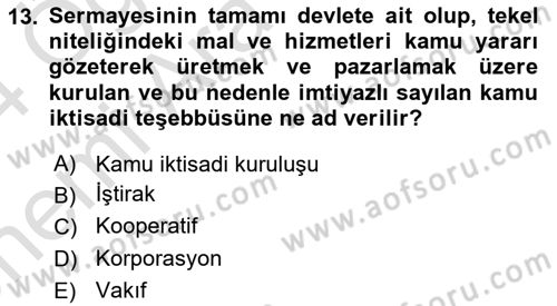 Türkiye Ekonomisi Dersi 2023 - 2024 Yılı (Vize) Ara Sınav Soruları 13. Soru