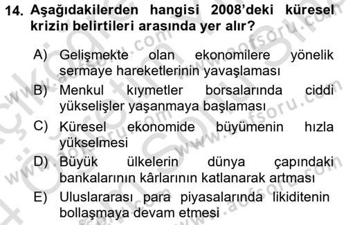 Türkiye Ekonomisi Dersi 2023 - 2024 Yılı (Final) Dönem Sonu Sınavı 14. Soru