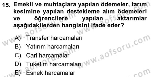 Türkiye Ekonomisi Dersi 2024 - 2025 Yılı (Vize) Ara Sınav Soruları 15. Soru