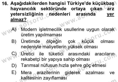 Türkiye Ekonomisi Dersi 2024 - 2025 Yılı (Vize) Ara Sınav Soruları 16. Soru