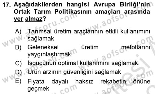 Türkiye Ekonomisi Dersi 2024 - 2025 Yılı (Vize) Ara Sınav Soruları 17. Soru
