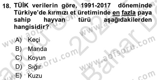 Türkiye Ekonomisi Dersi 2024 - 2025 Yılı (Vize) Ara Sınav Soruları 18. Soru