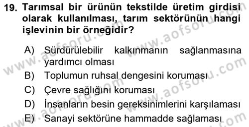 Türkiye Ekonomisi Dersi 2024 - 2025 Yılı (Vize) Ara Sınav Soruları 19. Soru