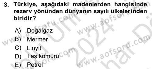 Türkiye Ekonomisi Dersi 2024 - 2025 Yılı (Vize) Ara Sınav Soruları 3. Soru