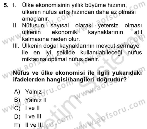 Türkiye Ekonomisi Dersi 2024 - 2025 Yılı (Vize) Ara Sınav Soruları 5. Soru